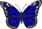 Vektorový obrázek, ilustrační klipart Tmavomodrý motýl ke stažení, Hmyz vektorový obrázek pro vaše dokumenty