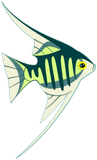 Vektorový obrázek, ilustrační klipart Tropická rybka ke stažení, Zvířata vektorový obrázek pro vaše dokumenty