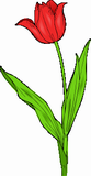 Vektorový obrázek, ilustrační klipart Tulipán ke stažení, Květiny vektorový obrázek pro vaše dokumenty