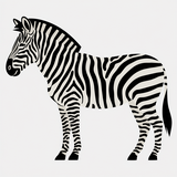 Zebra obecn