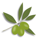 Vektorový obrázek, ilustrační klipart Zelené olivy ke stažení, Ovoce vektorový obrázek pro vaše dokumenty