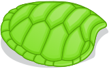 Želví krunýř