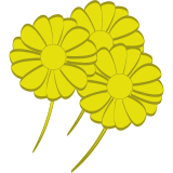 Vektorový obrázek, ilustrační klipart Žluté květiny ke stažení, Květiny vektorový obrázek pro vaše dokumenty