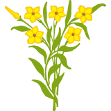 Vektorový obrázek, ilustrační klipart Žluté kytky ke stažení, Květiny vektorový obrázek pro vaše dokumenty