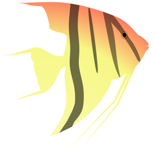 Vektorový obrázek, ilustrační klipart Akvarijní ryba v rozlišení 500x500 pixelů zdarma ke stažení, Zvířata vektor do vašich dokumentů