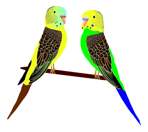 Vektorový obrázek, ilustrační klipart Andulky vlnkované zdarma ke stažení, Ptáci vektor do vašich dokumentů