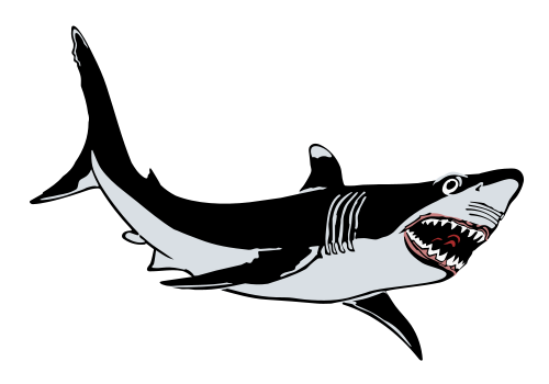 Vektorový obrázek, ilustrační klipart Bílý žralok zdarma ke stažení, Zvířata vektor do vašich dokumentů