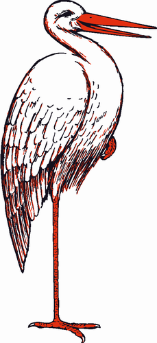 Vektorový obrázek, ilustrační klipart Čáp zdarma ke stažení, Ptáci vektor do vašich dokumentů