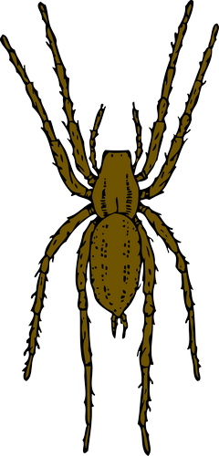Vektorový obrázek, ilustrační klipart Hnědý pavouk zdarma ke stažení, Zvířata vektor do vašich dokumentů