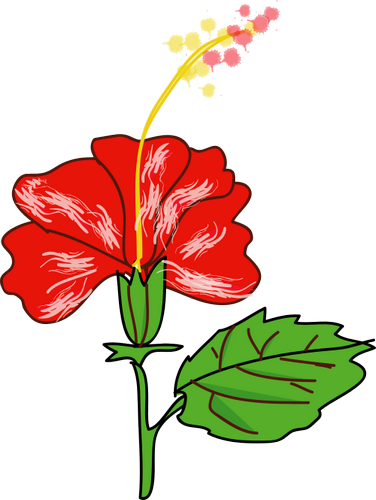 Vektorový obrázek, ilustrační klipart Ibišek zdarma ke stažení, Květiny vektor do vašich dokumentů