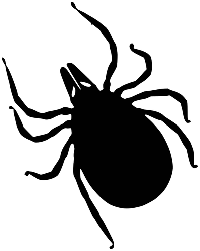 Vektorový obrázek, ilustrační klipart Klíště zdarma ke stažení, Hmyz vektor do vašich dokumentů