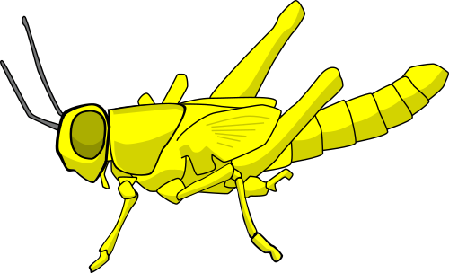 Vektorový obrázek, ilustrační klipart Kobylka zdarma ke stažení, Hmyz vektor do vašich dokumentů