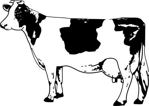 Vektorový obrázek, ilustrační klipart Kráva zdarma ke stažení, Zvířata vektor do vašich dokumentů