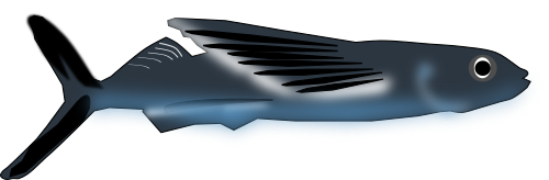 Vektorov obrzek, ilustran klipart Ltajc ryba zdarma ke staen, Zvata vektor do vaich dokument