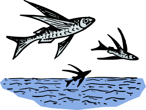 Vektorov obrzek, ilustran klipart Ltajc ryby zdarma ke staen, Zvata vektor do vaich dokument