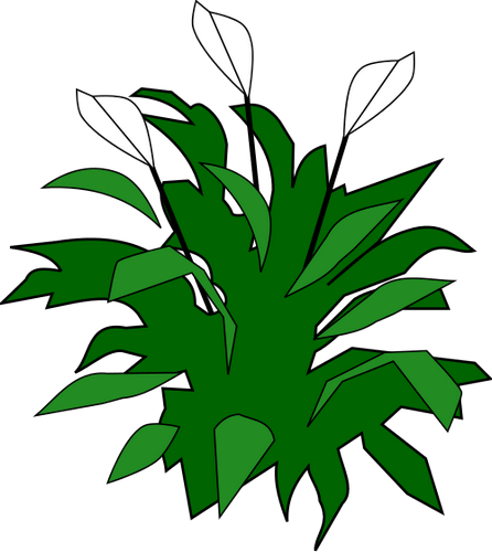 Vektorov obrzek, ilustran klipart Lopatkovec zdarma ke staen, Rostliny vektor do vaich dokument