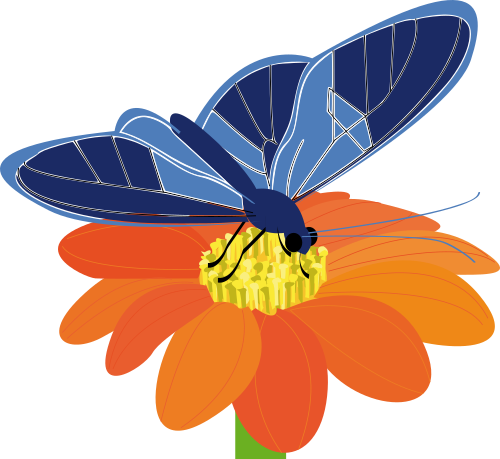 Vektorový obrázek, ilustrační klipart Motýl na květu zdarma ke stažení, Hmyz vektor do vašich dokumentů