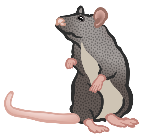 Vektorový obrázek, ilustrační klipart Myška zdarma ke stažení, Zvířata vektor do vašich dokumentů