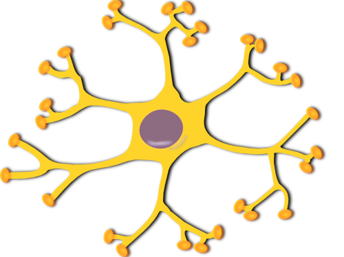 Vektorový obrázek, ilustrační klipart Neuron zdarma ke stažení, Věda vektor do vašich dokumentů