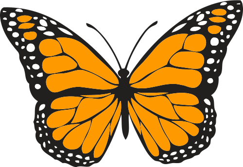 Vektorov obrzek, ilustran klipart Oranov motl zdarma ke staen, Hmyz vektor do vaich dokument