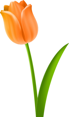 Vektorový obrázek, ilustrační klipart Oranžový tulipán zdarma ke stažení, Květiny vektor do vašich dokumentů