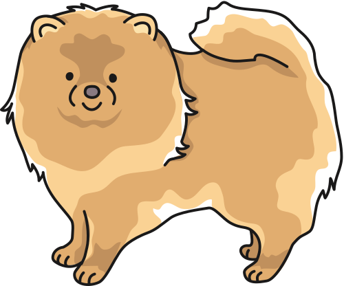Vektorový obrázek, ilustrační klipart Pomeranian zdarma ke stažení, Zvířata vektor do vašich dokumentů
