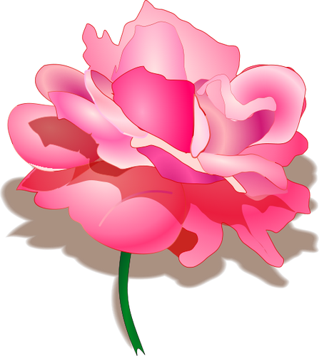 Vektorový obrázek, ilustrační klipart Růžová růže zdarma ke stažení, Květiny vektor do vašich dokumentů