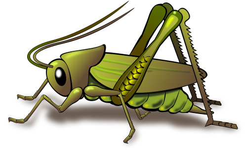 Vektorový obrázek, ilustrační klipart Saranče zdarma ke stažení, Hmyz vektor do vašich dokumentů
