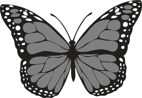Vektorový obrázek, ilustrační klipart Šedý motýl zdarma ke stažení, Hmyz vektor do vašich dokumentů