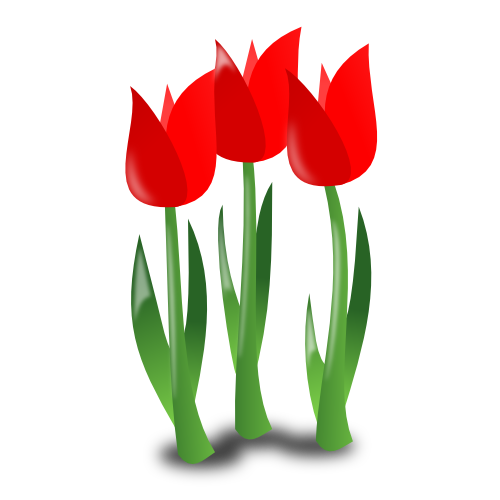Vektorový obrázek, ilustrační klipart Tulipány zdarma ke stažení, Květiny vektor do vašich dokumentů