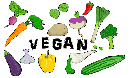 Vektorový obrázek, ilustrační klipart Veganská strava zdarma ke stažení, Zelenina vektor do vašich dokumentů