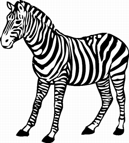 Vektorový obrázek, ilustrační klipart Zebra zdarma ke stažení, Zvířata vektor do vašich dokumentů