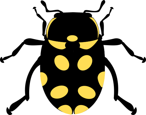 Vektorový obrázek, ilustrační klipart Žluté slunéčko zdarma ke stažení, Hmyz vektor do vašich dokumentů