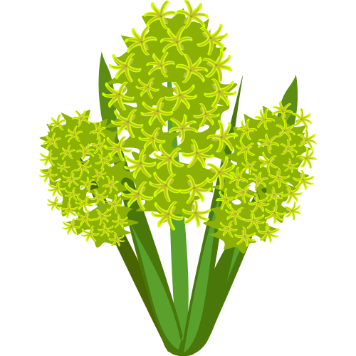 Vektorov obrzek, ilustran klipart lut hyacint zdarma ke staen, Kvtiny vektor do vaich dokument