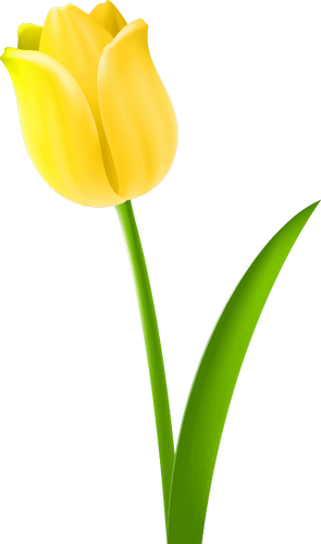 Vektorový obrázek, ilustrační klipart Žlutý tulipán zdarma ke stažení, Květiny vektor do vašich dokumentů